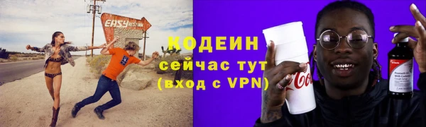 дурь Лабытнанги