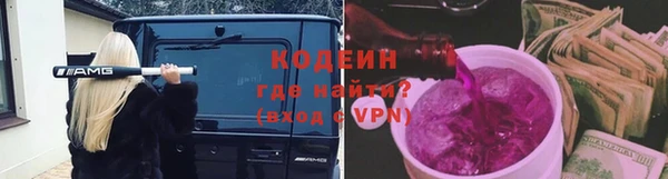 мдпв Ладушкин