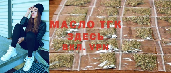 мдпв Ладушкин