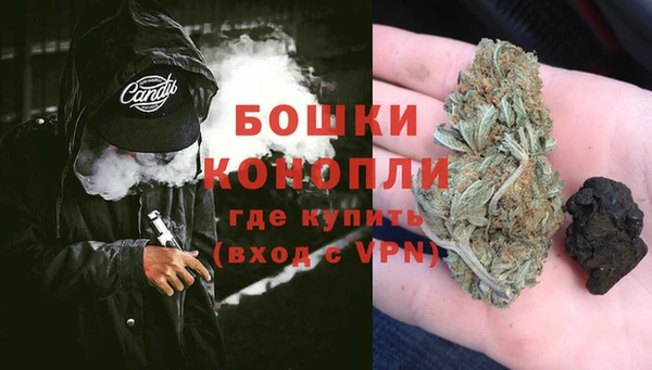 мдпв Ладушкин
