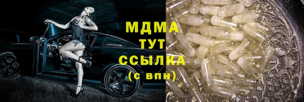 мдпв Ладушкин
