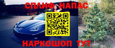 индика Апрелевка