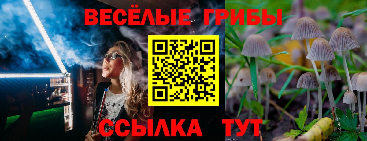 Галлюциногенные грибы Psilocybe  Усинск 