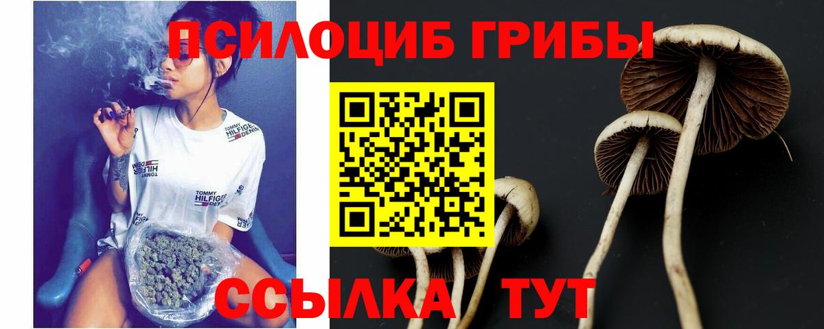 Галлюциногенные грибы GOLDEN TEACHER Усинск